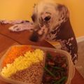 犬のお母さん's cooksnap of when they made 鶏そぼろを少しアレンジ！ビビンバ風ご飯.