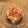 たべたいち's cooksnap of when they made 桜エビのおろし冷奴.