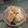 みえこだよ's cooksnap of when they made 【漬物】ゆず風味のおいしい白菜漬け.