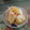 みえこだよ's cooksnap of when they made 【漬物】ゆず風味のおいしい白菜漬け.