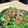 張小姐's cooksnap of when they made 豚肉とプチトマトの南蛮漬け.
