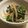 Seasonsととろ's cooksnap of when they made 【話題入り】モヤシとニラのナムル.