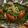 kt_flcl's cooksnap of when they made ヤキナガラ.