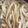 トラととら's cooksnap of when they made 超絶簡単✩釜玉うどん.