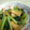 シロノワール's cooksnap of when they made 小松菜と厚揚げの炊いたん.