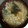 ポポポポポフィ〜♡'s cooksnap of when they made ◆もやしとわかめの味噌汁.