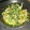 ♡キイロイトリ♡'s cooksnap of when they made 大根菜としらす干しの炒め煮.