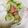 なこ仔's cooksnap of when they made 5分で常備菜♪カブときゅうりの梅干しあえ.