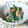 ぎんmama。's cooksnap of when they made 菜の花と海老の辛子マヨ和え.