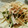クックYO27YM☆'s cooksnap of when they made れんこんとごぼうの胡麻マヨサラダ.
