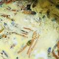 スーティー's cooksnap of when they made 栗ごはん.