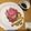 もりさらら's cooksnap of when they made ローストビーフ♪粒マスタードソース.