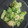 ぷけぽん's cooksnap of when they made アボカドとエビのデパ地下風サラダ.