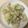 hanaxoxox's cooksnap of when they made 洋風大根ステーキ.