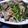 J・0505's cooksnap of when they made 牛肉とオイスターソースの炒めもの.