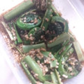 ふぁんたにゃん's cooksnap of when they made こごみのごまよごしに、ひとテクくわえて.