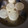 ココキキララ's cooksnap of when they made 【煮込むだけ！】鯖と大根の煮物.