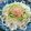 すがみほ's cooksnap of when they made 中華ドレで！味は本格＆簡単冷やしうどん.