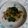 イチゴ、イチゴ。's cooksnap of when they made ほうれん草と新たまねぎのサラダ.・＊.
