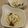 gajyumama's cooksnap of when they made ふんわり豆腐の和風あんかけ.