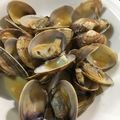 ミニ太郎chan's cooksnap of when they made ☆簡単☆アサリの酒蒸し.