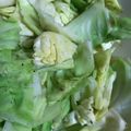 ココキキララ's cooksnap of when they made 居酒屋風♪やみつきキャベツ.