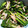 ミルクめろん's cooksnap of when they made ほうれん草のなめ茸和え.