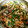 ZINNIA0707's cooksnap of when they made あさりの炊き込みご飯♪.