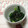 おはなすき's cooksnap of when they made ほうれん草のわさび和え.