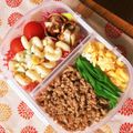 mintymoo's cooksnap of when they made 母直伝、三色鶏そぼろ弁当.