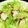 クックAR1QB1☆'s cooksnap of when they made レタスとタコのポン酢サラダ.
