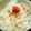 はるかはるか2's cooksnap of when they made 桜の塩漬けで桜おこわ.
