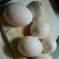 姫ぽんず's cooksnap of when they made ゆで卵が気持ち良くツルリと剥ける茹で方.