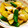 月見なっとう's cooksnap of when they made じゃが芋､ししとう､鶏肉のさっぱり炒め♪.