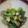 うに１１８'s cooksnap of when they made おくらのごまごま和え.
