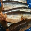 notte☆'s cooksnap of when they made うるめいわしの甘露煮.