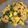 mame213's cooksnap of when they made 豚にら玉.