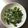 いくchama's cooksnap of when they made ポン酢で菜の花としらすのおかか和え.