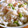 sarita3s's cooksnap of when they made 焼き鮭とみょうがのさっぱり混ぜ寿司.