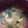 クック9HDOBA☆'s cooksnap of when they made 朝食 水菜と揚げの味噌汁.