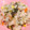 Cook★Robin's cooksnap of when they made きのことベーコンの洋風炊き込みご飯.