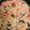 boyandgirl's cooksnap of when they made ＊塩鮭とほうれん草のパスタ＊.