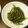 ヘラクレスオオカブト's cooksnap of when they made インゲンのおかかバター醤油炒め.