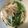 izoopu's cooksnap of when they made 簡単！ 余った餃子で餃子スープ.