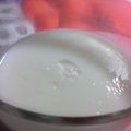 sunakuzira's cooksnap of when they made やわらかヨーグルトプリン.