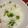 herierih's cooksnap of when they made ぷっくり艶々★豆ごはんのコツ.