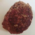 あいぱんmgmg's cooksnap of when they made 簡単本格ふっくらジューシーハンバーグ☆.