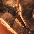 清水の嫁's cooksnap of when they made ももさんちのカレイの煮付け.