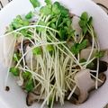 ゆしかあさん's cooksnap of when they made ダイエット☆舞茸の胡麻和え おろしのせ.