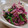 おんかめ's cooksnap of when they made 優雅に・・・菊とほうれん草の和えもの.